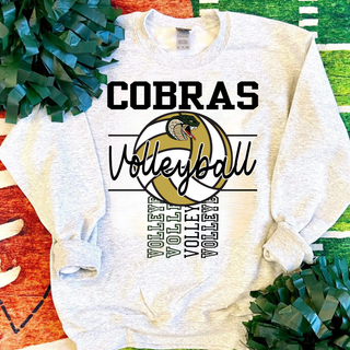 Jackson Heights Cobra Volleyball V2 Top