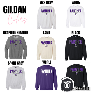 Panthers Football End Zone Top