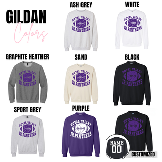 Distressed Jr. Panthers Football Option 2