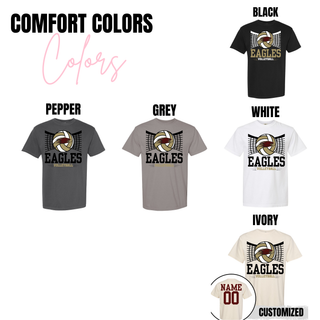 Silver Lake Eagles Volleyball Court Top
