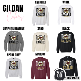 Silver Lake Eagles Volleyball Court Top