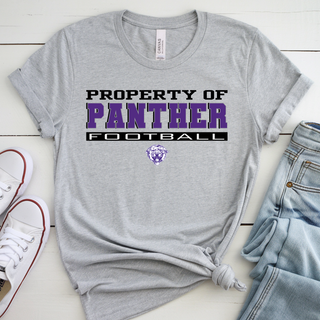 Property of Panther Football