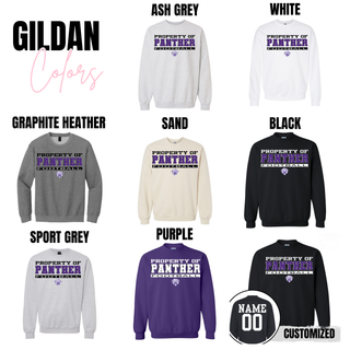 Property of Panther Football