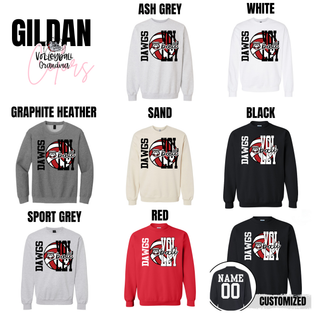 Rossville Dawgs Two Tone Volleyball