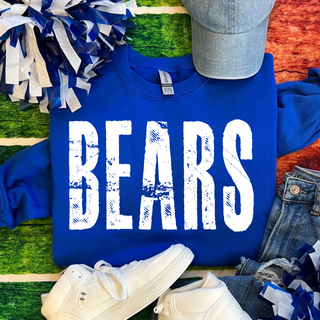 Vintage Distressed Bears Top