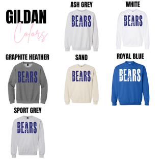 Vintage Distressed Bears Top
