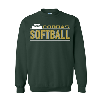 Jackson Heights Softball Team Option 4