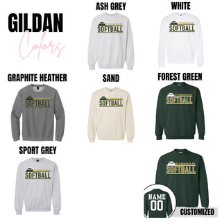Jackson Heights Softball Team Option 4