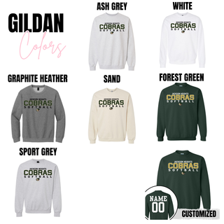 Jackson Heights Softball Team Option 5