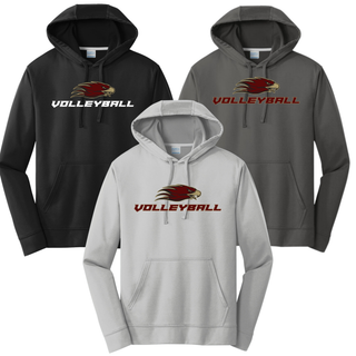 Silver Lake Eagles Volleyball Bold Mascot Apex Performance Hoodie in black, charcoal, and silver