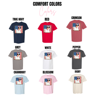 Comfort Colors swatch showing true navy, red, crimson, grey, white, pepper, chambray, blossom, and ivory