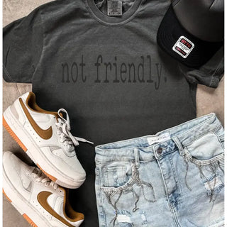 Not Friendly Comfort Colors Graphic T-Shirt