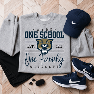 Hayden Wildcats Topeka Kansas One School One Family Gildan crewneck in sport grey with navy gold wildcats mascot graphic est 1911
