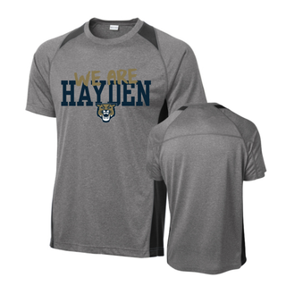 Front and back view of grey and black we are hayden colorblock contender tee showing front wildcat design and clean back panel
