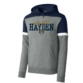 Grey and navy Hayden Wildcats we are hayden fleece colorblock hoodie with white stripe sleeve detail, gold script overlay, and wildcat mascot
