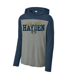 Grey and navy Hayden Wildcats we are hayden long sleeve hoodie with gold script overlay, bold block hayden text, and wildcat mascot on front
