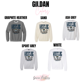 Gildan color chart showing Graphite Heather, Sand, Ash Grey, Sport Grey, and White