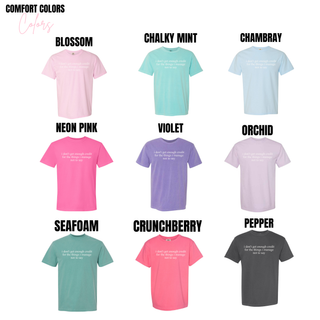 Comfort Colors tee in blossom, chalky mint, chambray, neon pink, violet, orchid, seafoam, crunchberry, and pepper
