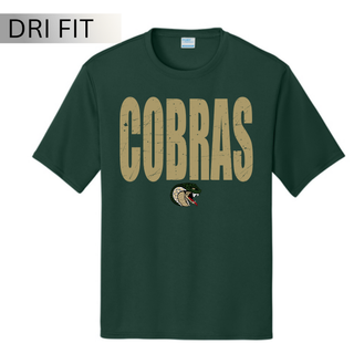 Jackson Heights Cobras distressed mascot Dri-Fit performance top in dark green