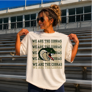 Jackson Heights Cobras Stack 'Em Top in natural, model wearing oversized tee at the stadium