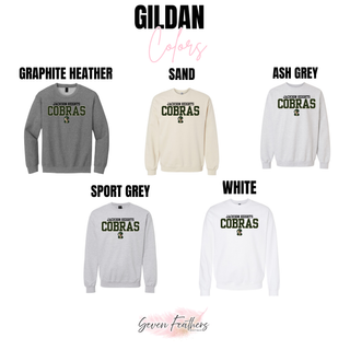Gildan color options for Jackson Heights Little Cobras top