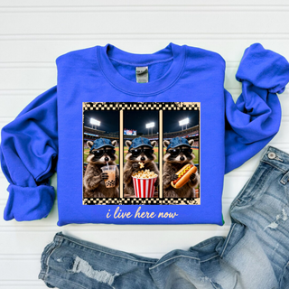 Royal blue Gildan sweatshirt with a three panel raccoon at a baseball stadium graphic that reads i live here now