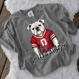 Rossville Bulldawgs Jersey Dawg Comfort Colors tee in grey with illustrated bulldog wearing red jersey and bulldawgs script
