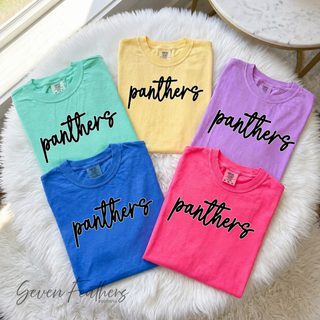 Folded pastel Comfort Colors tees with panthers script design in mint, yellow, lavender, pink, and blue
