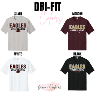Silver Lake Eagles Cheerleading dri-fit performance top in silver, maroon, white, and black color options
