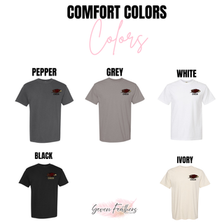 Comfort Colors Silver Lake Power Eagle cheer tee in pepper, grey, white, black, and ivory
